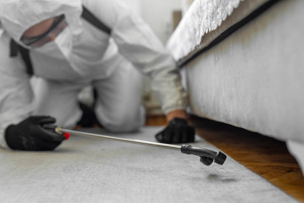 Professional Bed Bug Control technician working in Lexington city County, VA